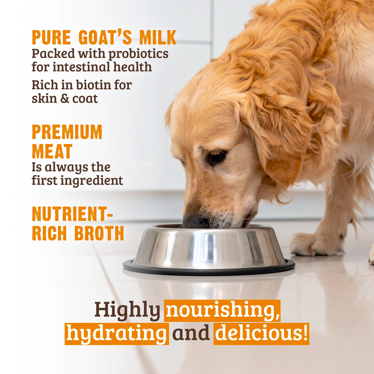 RAWZ Chicken, Chicken Liver & Goat's Milk Stew Canned Dog Food - Pure Goat's Milk and Premium Meat First - RAWZ - PetMax Canada