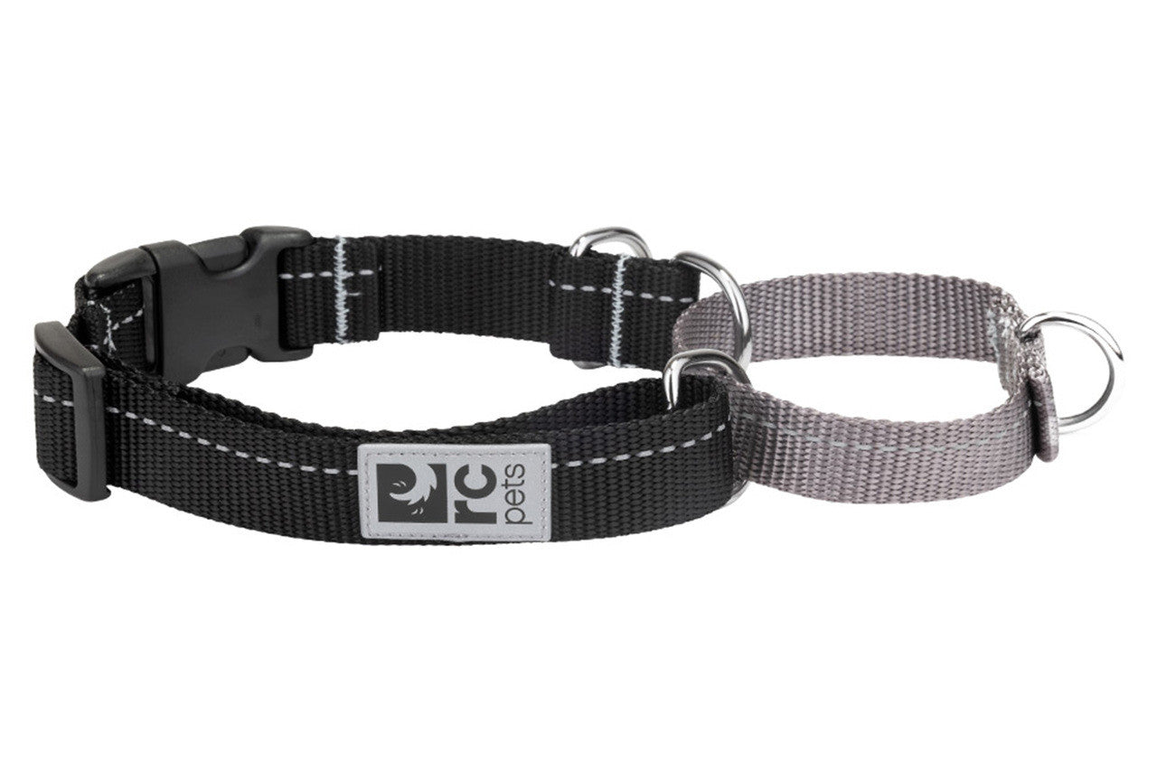 Rc Dog Web Training Clip Primary Black  Dog Collars  | PetMax Canada