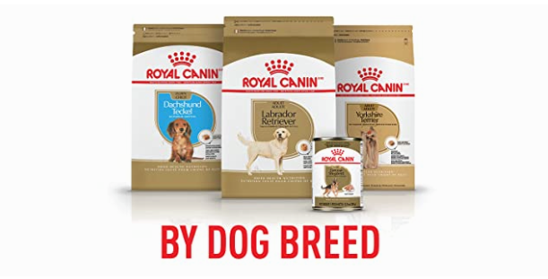 Best price royal canin dog food outlet