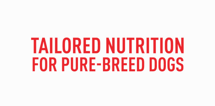 Tailored nutrition for specific breeds from Royal Canin