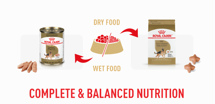 Royal Canin Breed Specific Health and Nutrition formulas provide breed-specific nutrition, including wet formulas for complete and balanced nutrition.