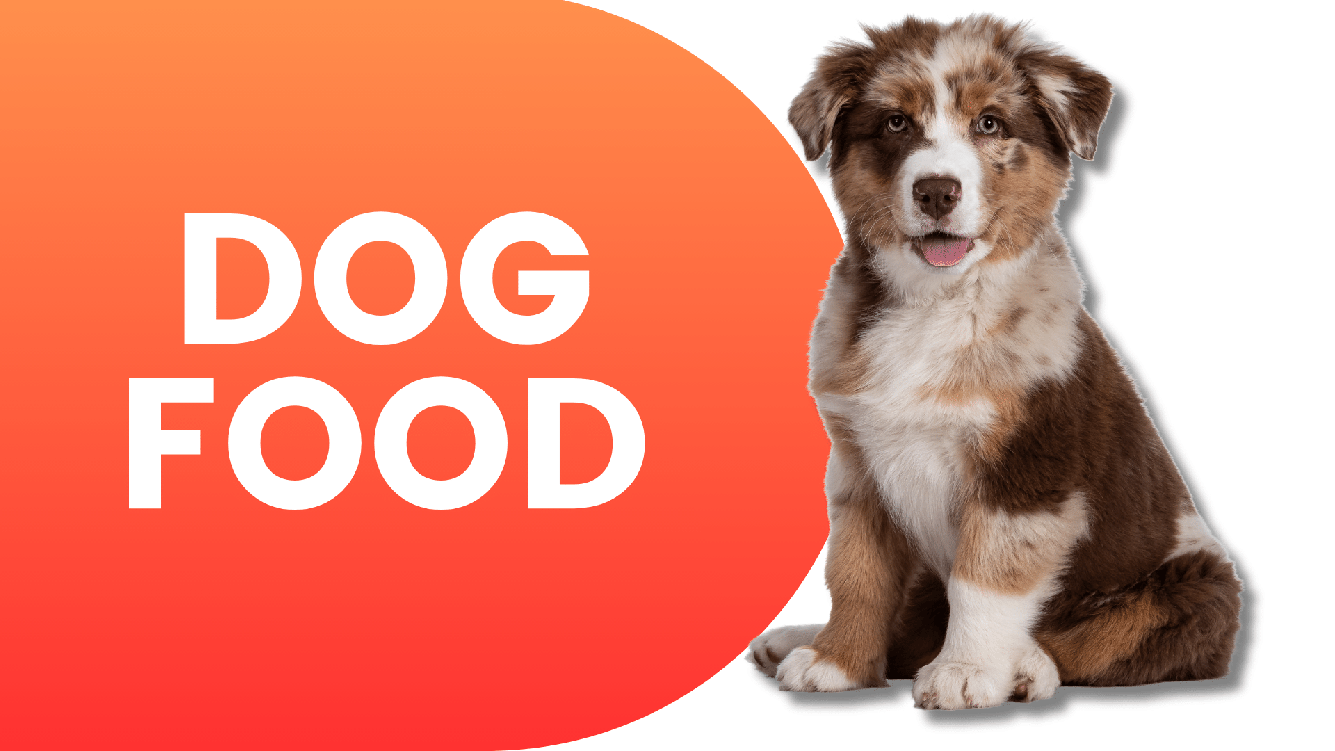 Shop Dog Food | Popular Categories PetMax.ca