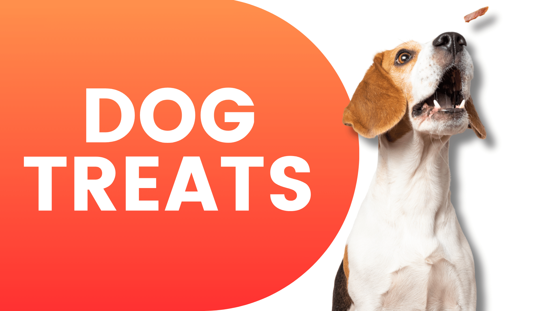 Shop Dog Treats | Popular Categories PetMax.ca