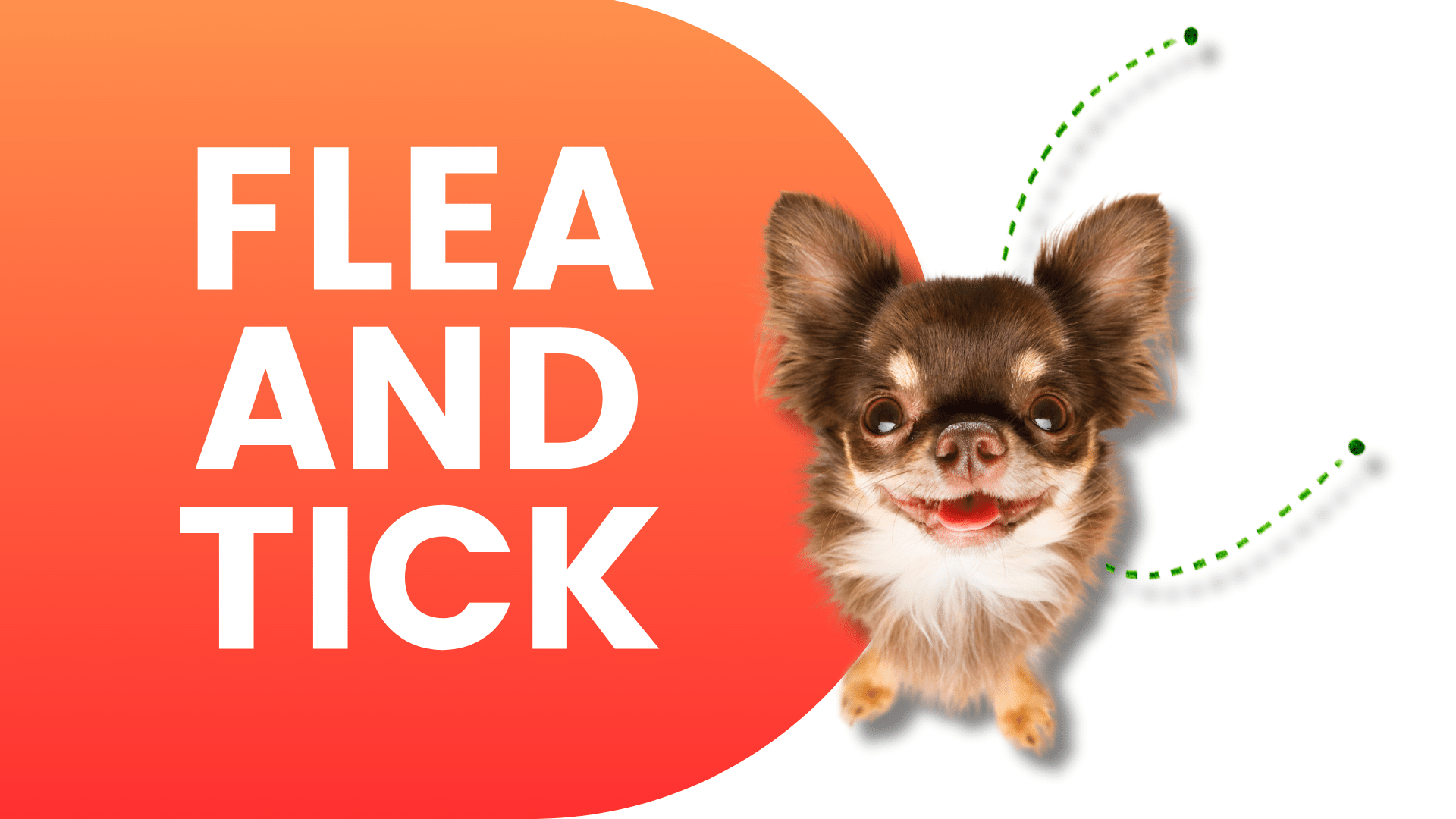 Shop Flea and Tick Products Online | Popular Categories PetMax.ca