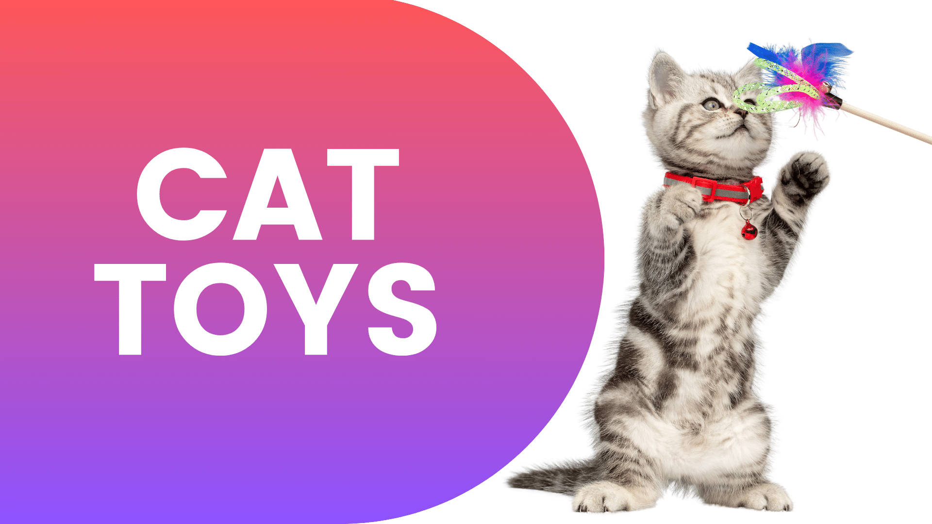 Shop Cat Toys Online | Popular Categories PetMax.ca