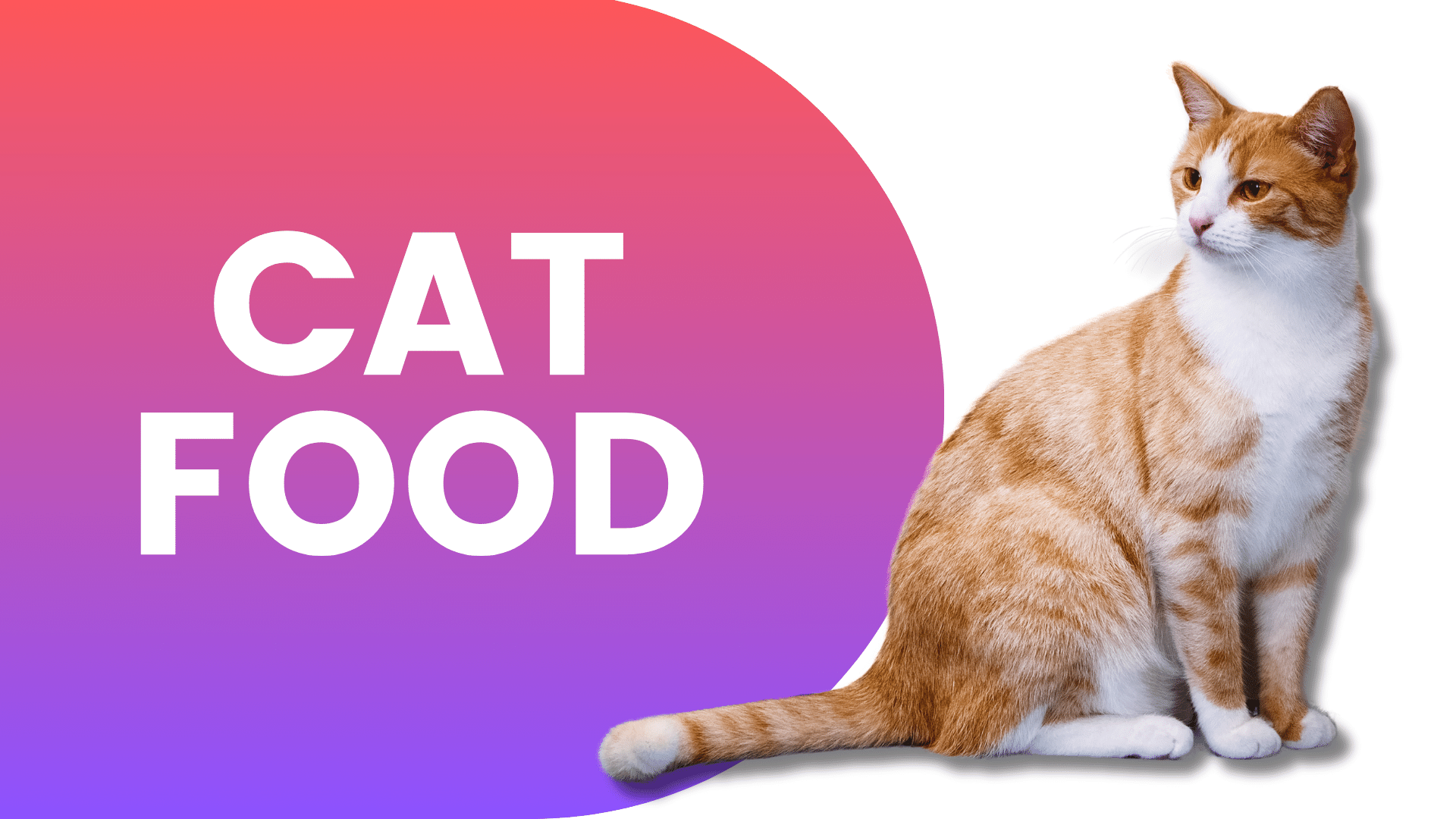 Shop Cat Food Online | Popular Categories PetMax.ca
