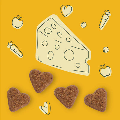 Darford Dog Soft Baked Super Cheesy Soft & Chewy Treats