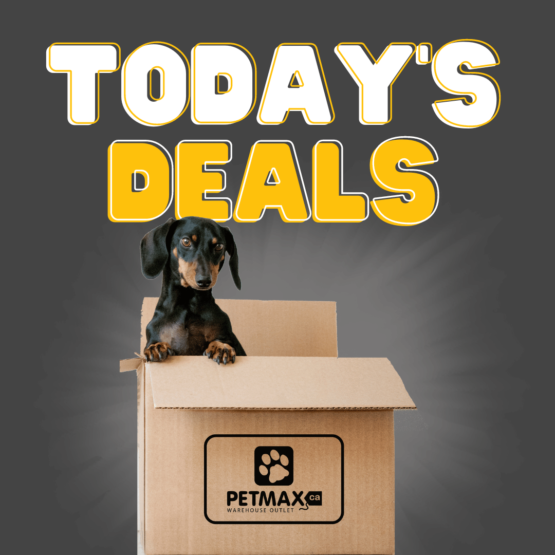 The doggie store 2024 outlet