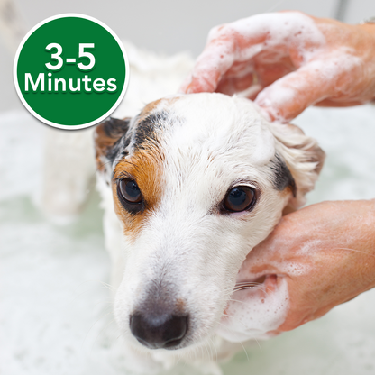 Vets Best Oatmeal Medicated Dog Shampoo