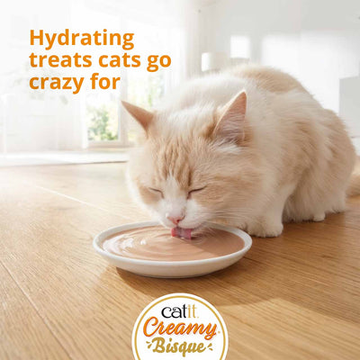 Catit Creamy Bisque Tuna & Crab Cat Treats - cat licking Creamy Bisque from a dish, hydrating treats cats go crazy for - PetMax Canada