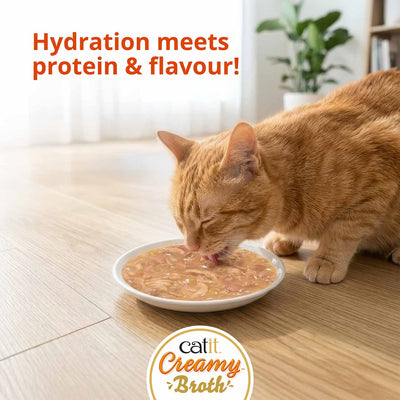 Catit Creamy Broth Chicken & Liver Cat Treats - cat enjoying the broth - PetMax Canada