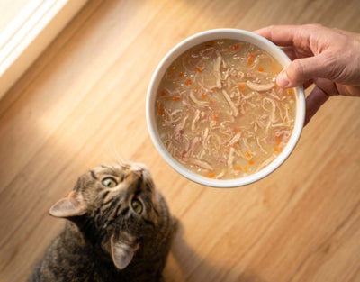 Catit Creamy Broth Chicken & Duck Cat Treats - bowl of broth served to a cat - PetMax Canada