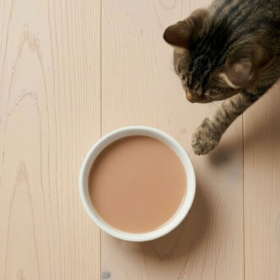 Catit Creamy Bisque Chicken & Liver Cat Treats - cat reaching for a bowl of Creamy Bisque - PetMax Canada