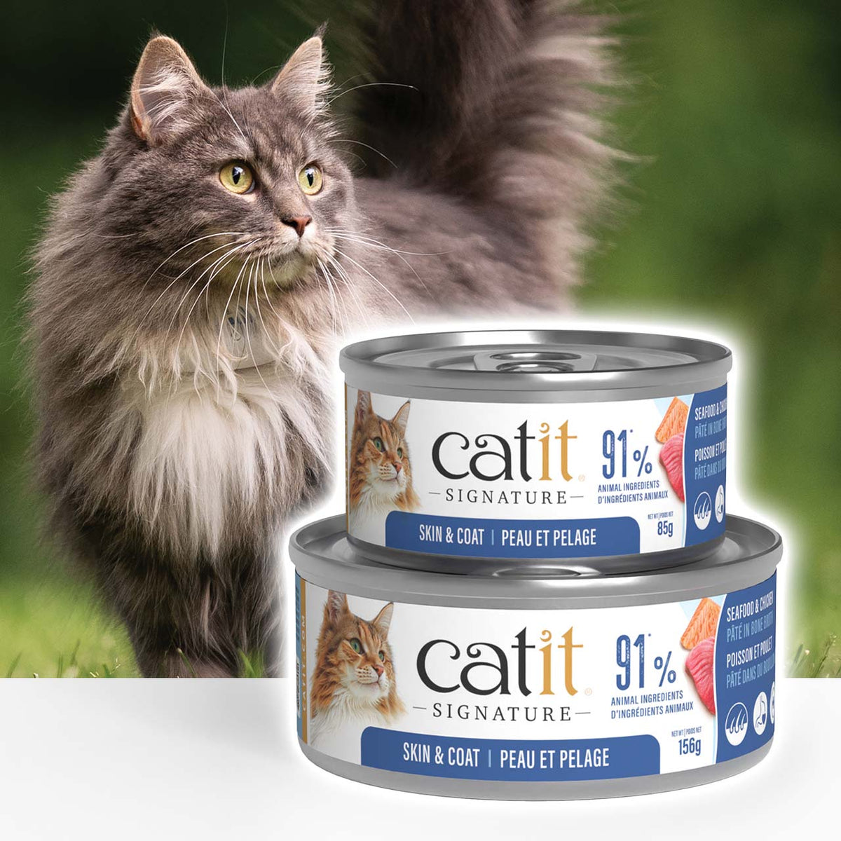 Catit Signature Skin & Coat Seafood & Chicken Pâté in Bone Broth Wet Cat Food - Lifestyle Photo with 85 g and 156 g Cans - PetMax Canada