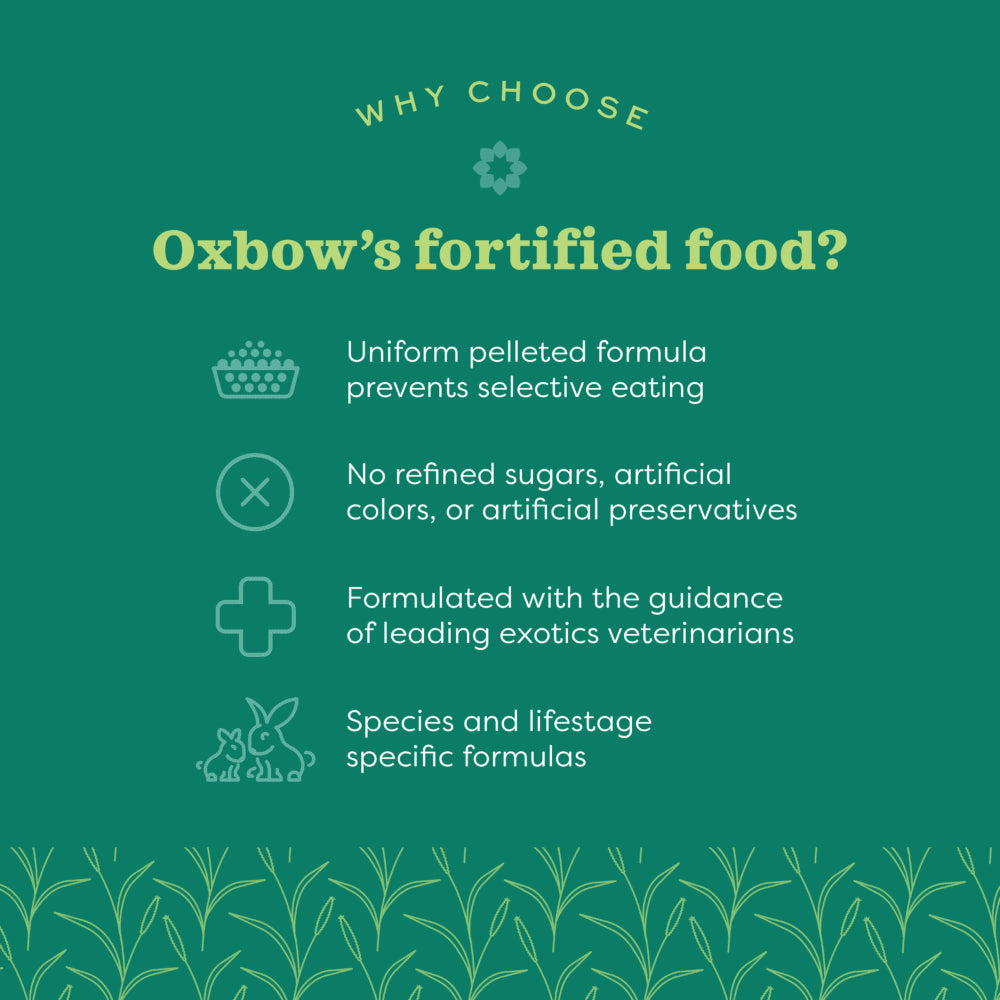 Oxbow Essentials Ferret Food - Why Choose Oxbow Fortified Food - Oxbow - PetMax Canada