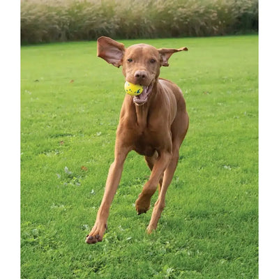 Zeus Nitro Weighted Ball With Rubber Core Dog Toy