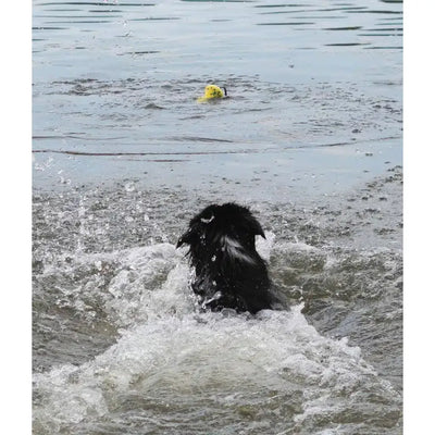 Zeus Nitro Weighted Buoy With Rope Dog Toy