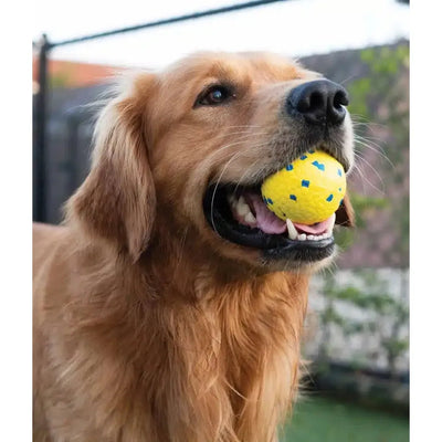 Zeus Nitro Weighted Ball With Rubber Core Dog Toy