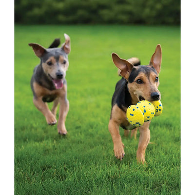 Zeus Nitro Weighted Grip Ball Dog Toy