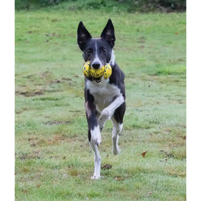 Zeus Nitro Weighted Grip Ball Dog Toy