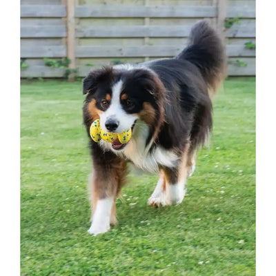 Zeus Nitro Weighted Grip Ball Dog Toy