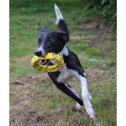 Zeus Nitro Ring Dog Toy