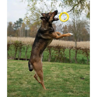 Zeus Nitro Ring Dog Toy