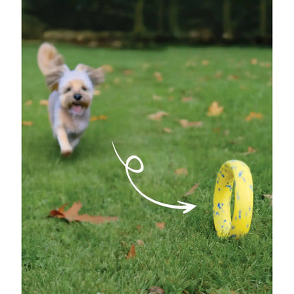 Zeus Nitro Ring Dog Toy