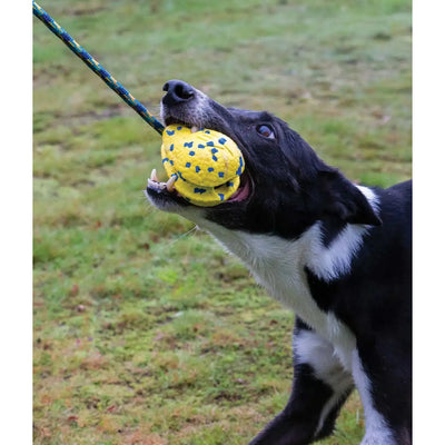 Zeus Nitro Weighted Slinger With Rope Dog Toy