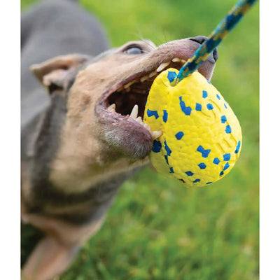 Zeus Nitro Weighted Slinger With Rope Dog Toy