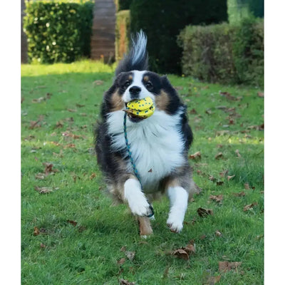 Zeus Nitro Weighted Slinger With Rope Dog Toy