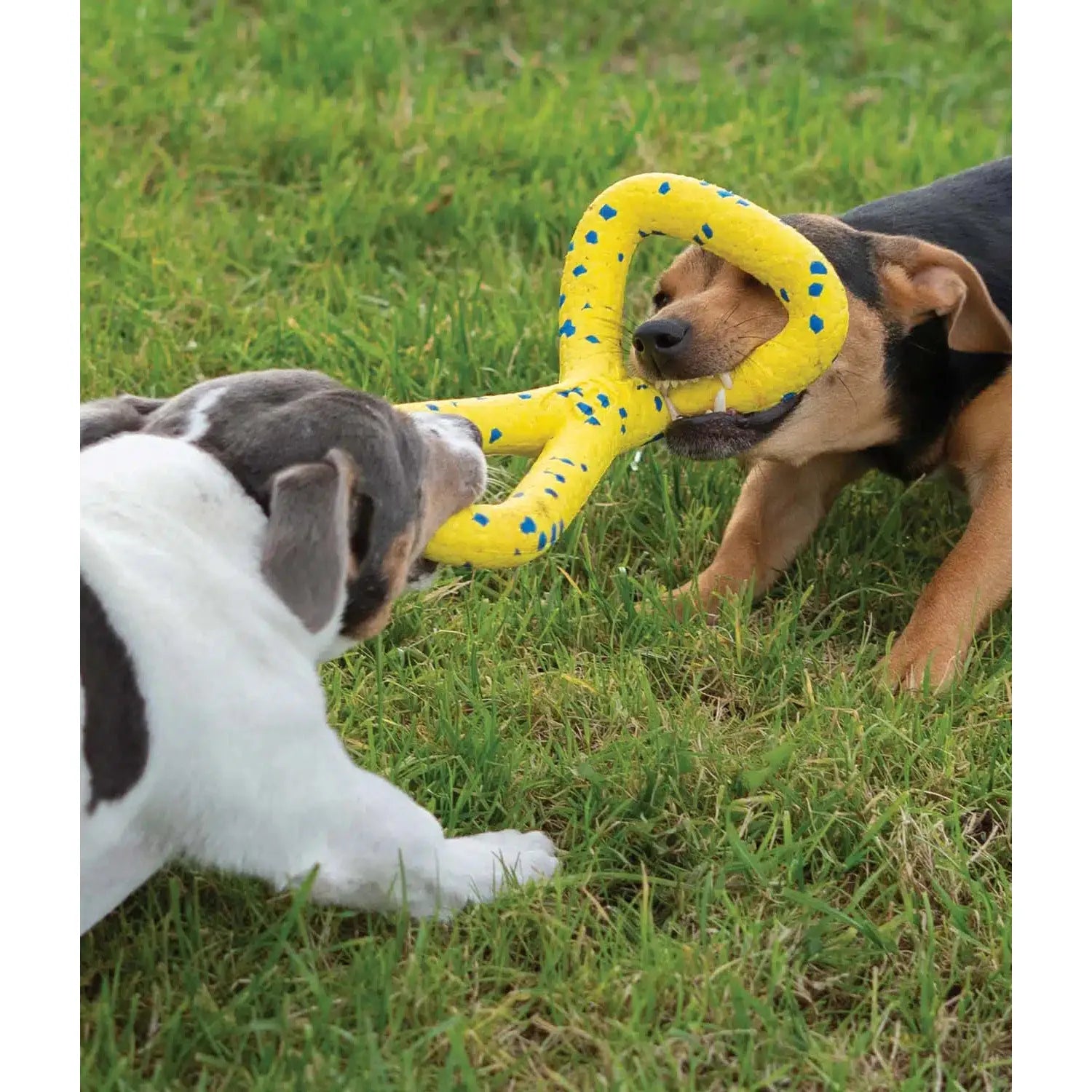 Zeus Nitro Tugger Dog Toy
