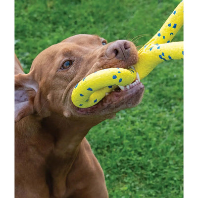 Zeus Nitro Tugger Dog Toy