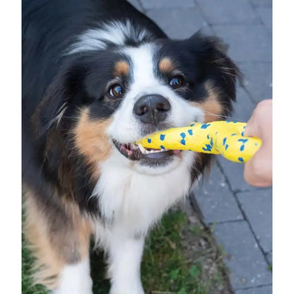 Zeus Nitro Tugger Dog Toy