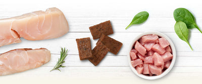 Zoe Meat Market Bites with Crocodile Dog Treats - 90g - Dog Treats - Zoe - PetMax Canada