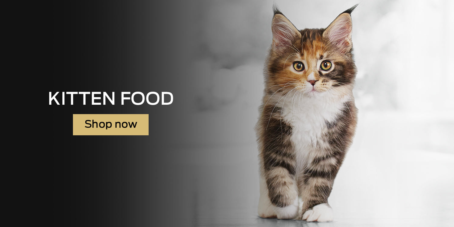 Buy Pro Plan Kitten Food Online in Canada at PetMax.ca