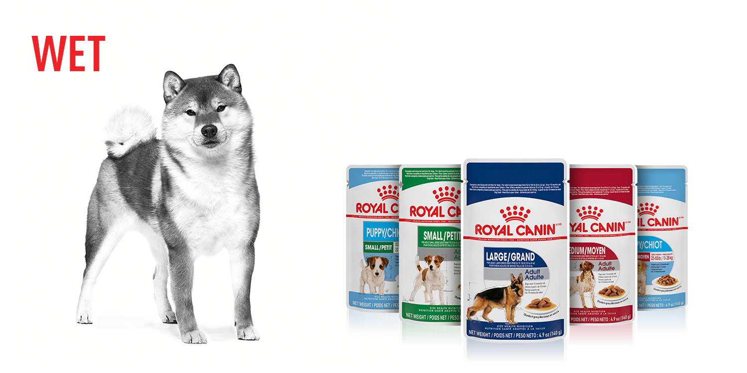 Royal Canin Size Health Nutrition Wet Dog Food: Balanced and Nutritious Diet for Your Canine - Discover Our Premium Wet Food Now!