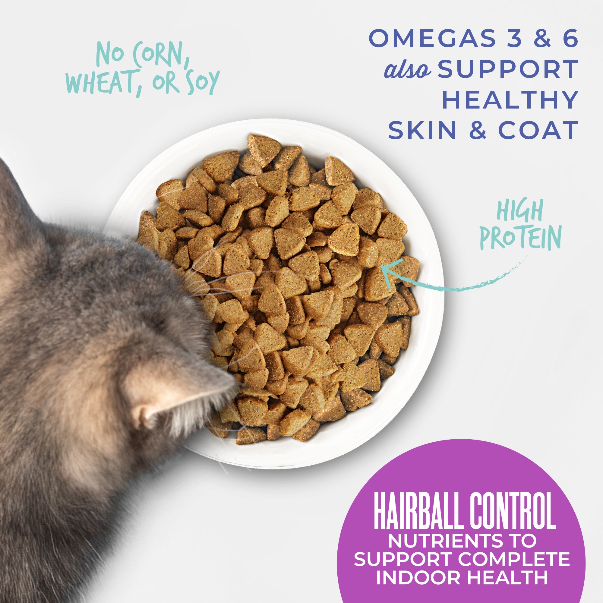 Tiki Cat Born Carnivore Hairball Chicken Recipe Dry Cat Food - Product Highlights 5 - Tiki Cat - PetMax Canada