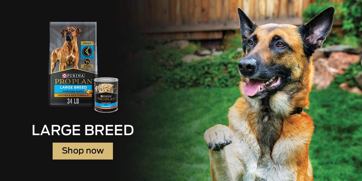 Buy Pro Plan Large Breed Dog Food Online in Canada at PetMax.ca
