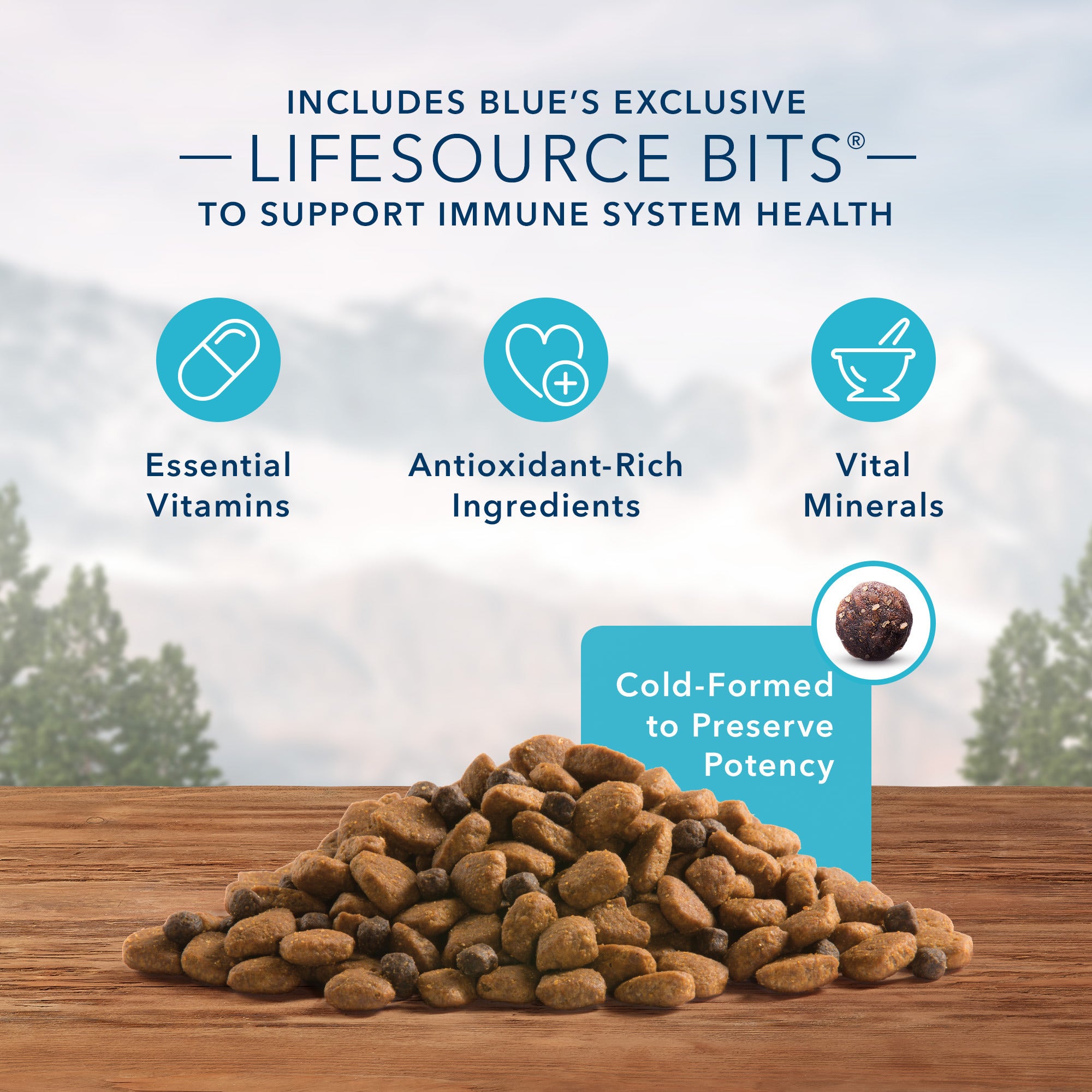Blue Buffalo Wilderness Dog Food Salmon Formula - Image 5 - Blue Buffalo - PetMax Canada