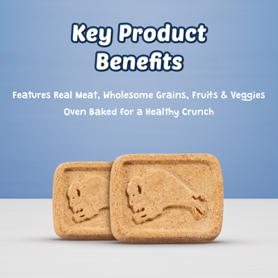 Blue Buffalo Health Bars Pumpkin & Cinnamon - Image 2 - Blue Buffalo - PetMax Canada