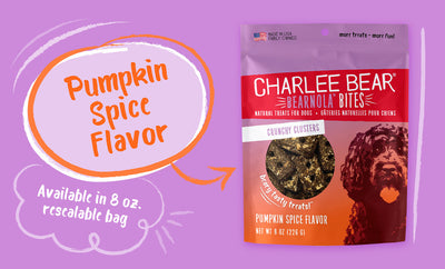 Charlee Bear Bearnola Bites Pumpkin Spice Flavor