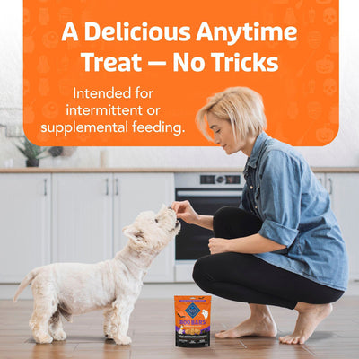 Dog enjoying Blue Buffalo Boo Bars Halloween treats at home - PetMax Canada
