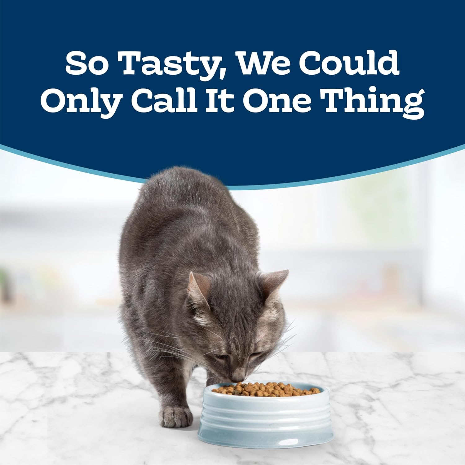 Blue Buffalo Tastefuls Indoor Chicken & Brown Rice Adult Dry Cat Food - Image 2 - Blue Buffalo - PetMax Canada