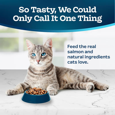 Blue Buffalo Tastefuls Indoor Salmon & Brown Rice Adult Dry Cat Food - Image 3 - Blue Buffalo - PetMax Canada