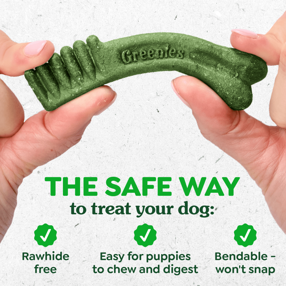 Greenies Puppy Teenie Dental Care Dog Treats - Rawhide-free, bendable treat that is easy for puppies to chew - PetMax Canada