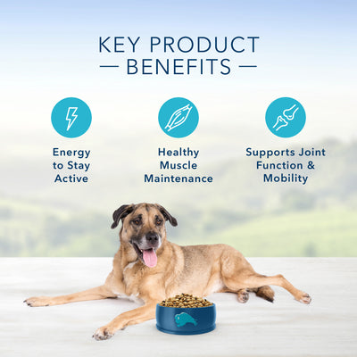 Blue Buffalo Life Protection Senior Dog Food - Image 5 - Blue Buffalo - PetMax Canada