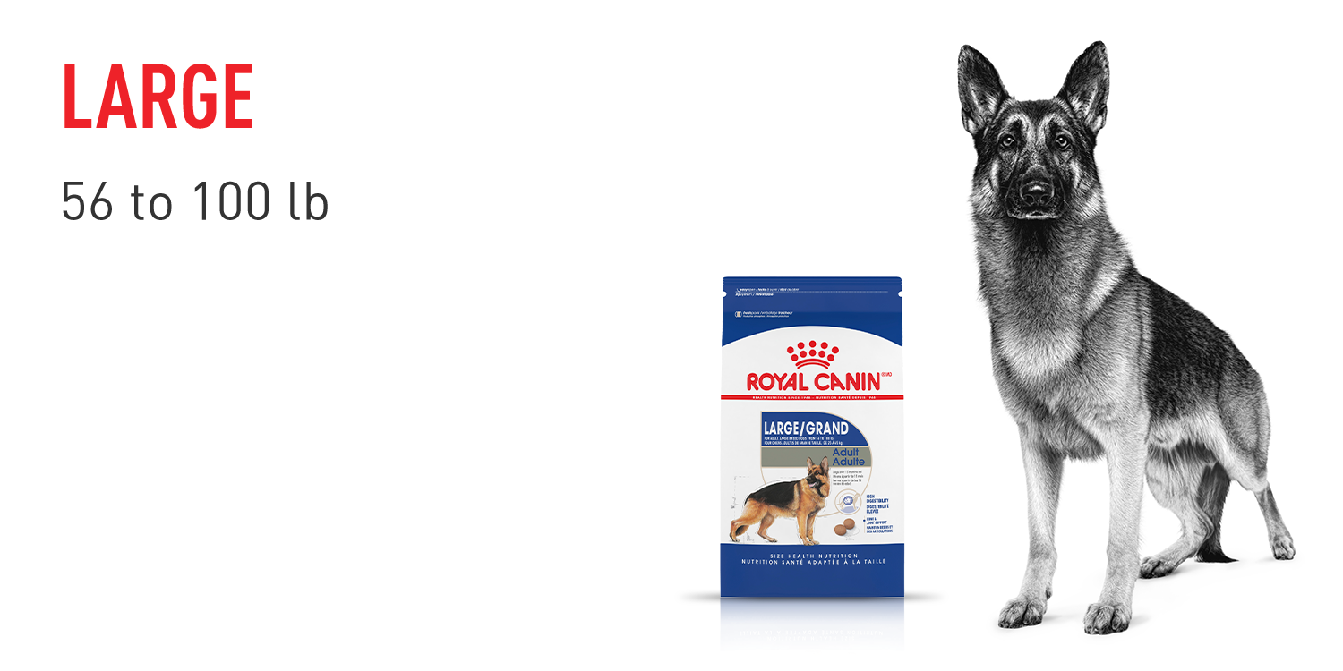 Royal Canin Size Health Nutrition Large: Tailored Nutrition for Large Dogs 56-100 lbs - Discover Our Premium Dog Food Now!