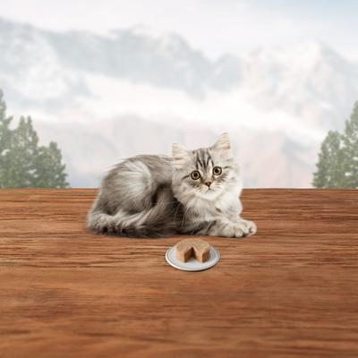 Blue Buffalo Wilderness Canned Kitten Food - Image 6 - Blue Buffalo - PetMax Canada