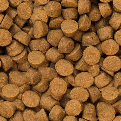 Oven-Baked Tradition Hypoallergenic Duck Dry Food For All Breed Adult Dogs - Oven-baked kibble close-up - PetMax Canada